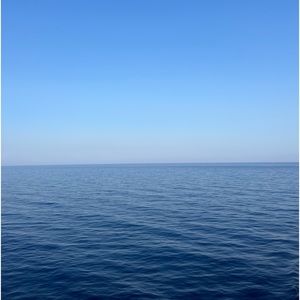 🌟EVERYTHING MUST GO - ALL REASONABLE OFFERS ACCEPTED🌟